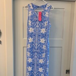 Lilly Pulitzer Blue and White Floral Maxi Dress